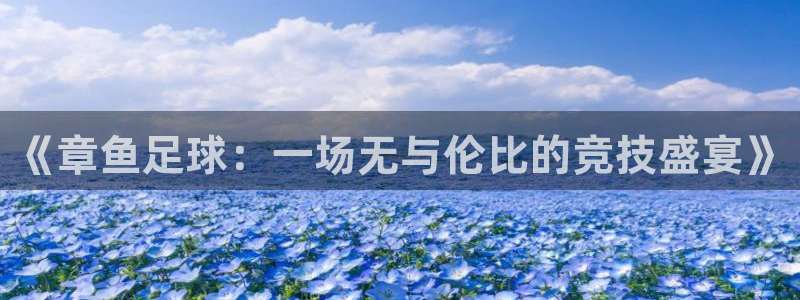  《章鱼足球：一场无与伦比的竞技盛宴》