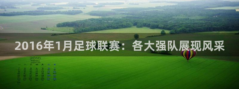  2016年1月足球联赛：各大强队展现风采