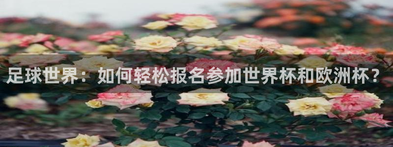  足球世界：如何轻松报名参加世界杯和欧洲杯？