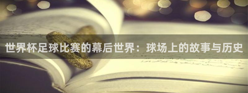 世界杯足球比赛的幕后世界：球场上的故
